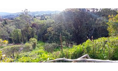 Lote en el Alto de palmas de 31.090 M2 con licencia múltiple