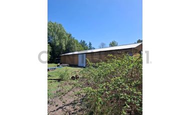 SE VENDE TERRENO 11.5 HA, UNIHUE, HUALQUI.