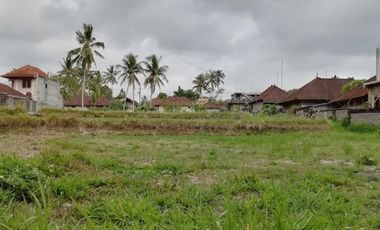 Land for lease jungle view close Ubud Center