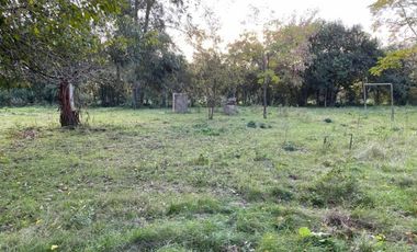 Quinta 3 Ambientes En Venta - La Reja, Moreno