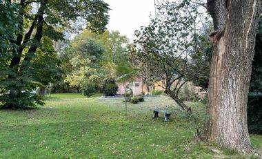 Quinta 3 Ambientes En Venta - La Reja, Moreno