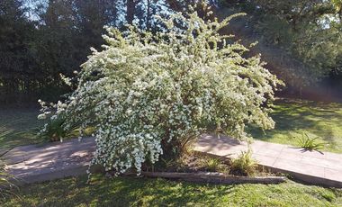 Casa Quinta 4 dorm lote 1600 m2 Exaltac de la Cruz