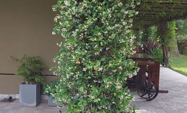 Casa Quinta 4 dorm lote 1600 m2 Exaltac de la Cruz