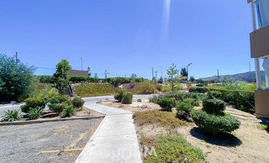 Departamento Estrella polar ID: 166591r