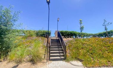 Departamento Estrella polar ID: 166591r