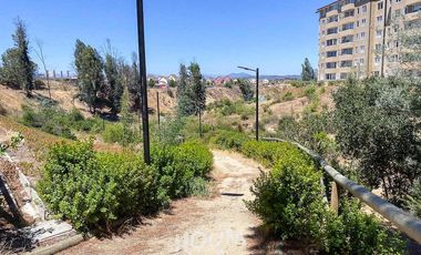 Departamento Estrella polar ID: 166591r