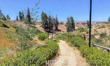 Departamento Estrella polar ID: 166591r