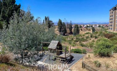 Departamento Estrella polar ID: 166591r