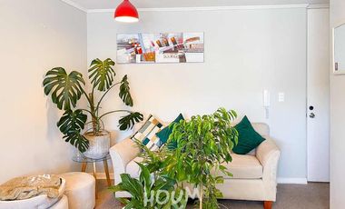 Departamento Estrella polar ID: 166591r