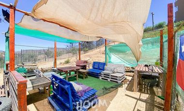 Departamento Estrella polar ID: 166591r