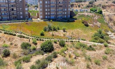 Departamento Estrella polar ID: 166591r