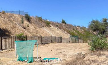 Departamento Estrella polar ID: 166591r