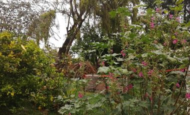 casa campestre en arriendo en santa isabel. Cod A3906