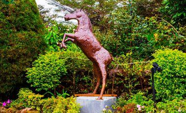 Venta de Hotel Villas San Miguel, Boquete, Chiriqui Panamá