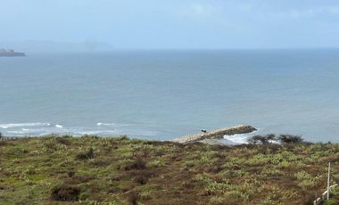 apartamento en venta en sabanilla. Cod V91844