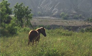 OCASION INVERSIONISTA  TERRENO FRENTE AL RIO - LUNAHUANA  CAÑETE