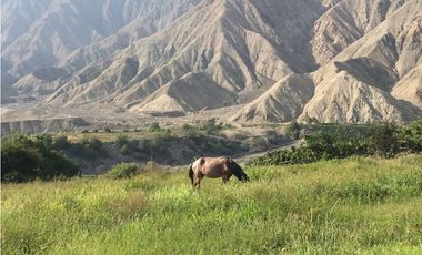 OCASION INVERSIONISTA  TERRENO FRENTE AL RIO - LUNAHUANA  CAÑETE