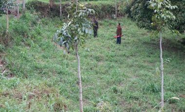Tanah Dijual di Lembang Bandung