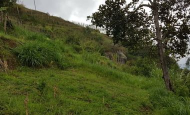 Tanah Dijual di Lembang Bandung