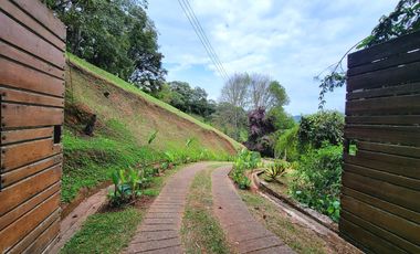 finca en venta en san pablo bajo. Cod V11380