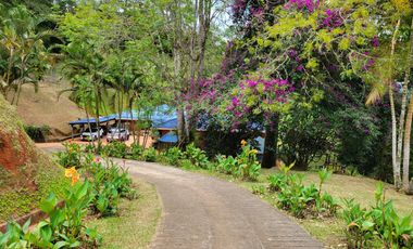 finca en venta en san pablo bajo. Cod V11380