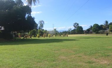 COUNTRY HOUSE AND LOT FOR SALE