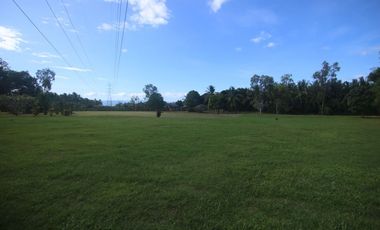COUNTRY HOUSE AND LOT FOR SALE