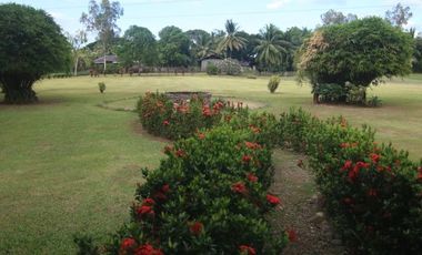 COUNTRY HOUSE AND LOT FOR SALE