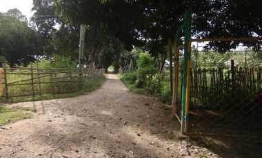 COUNTRY HOUSE AND LOT FOR SALE