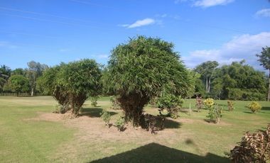 COUNTRY HOUSE AND LOT FOR SALE