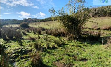 SE VENDE HERMOSO CAMPO EN QUICHAMAHUIDA - TRAIGUEN