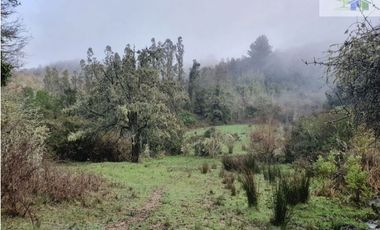 SE VENDE HERMOSO CAMPO EN QUICHAMAHUIDA - TRAIGUEN