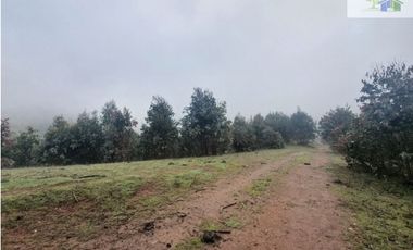 SE VENDE HERMOSO CAMPO EN QUICHAMAHUIDA - TRAIGUEN