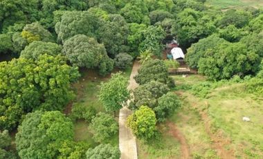 8 Hectare Developed Agricultural Farm with Villa For Sale in Nasugbu Batangas