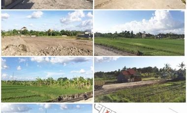 Dijual Tanah Kavling Ekslusive Harga Ekonomis di Bengkel, Kediri, Tabanan View Sawah
