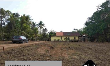 Tanah Pekarangan Dijual Sedayu, Kawasan Industri Jogja, Sertipikat SHM