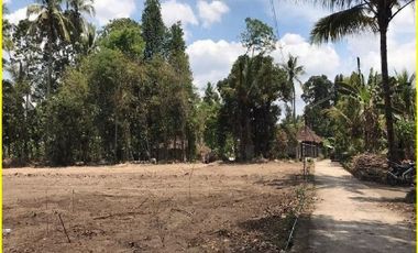 Tanah Pekarangan Dijual Sedayu, Kawasan Industri Jogja, Sertipikat SHM