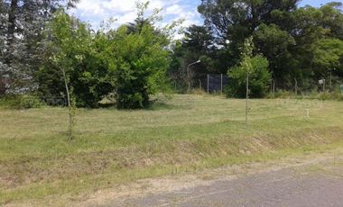 Terreno en Venta en Benavidez, Tigre, G.B.A. Zona Norte, Argentina