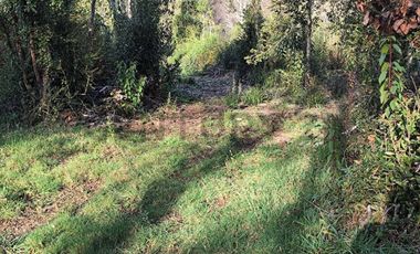 PARCELA 10.589 M2 CON ORILLA DE ESTERO EN PARQUE ECOLOGICO CASAHUE, LONCOCHE