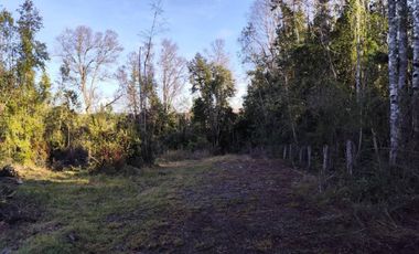 PARCELA 10.589 M2 CON ORILLA DE ESTERO EN PARQUE ECOLOGICO CASAHUE, LONCOCHE