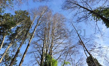 PARCELA 10.589 M2 CON ORILLA DE ESTERO EN PARQUE ECOLOGICO CASAHUE, LONCOCHE
