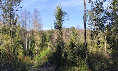 PARCELA 10.589 M2 CON ORILLA DE ESTERO EN PARQUE ECOLOGICO CASAHUE, LONCOCHE