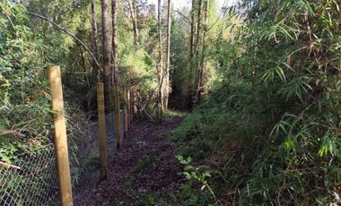 PARCELA 10.589 M2 CON ORILLA DE ESTERO EN PARQUE ECOLOGICO CASAHUE, LONCOCHE