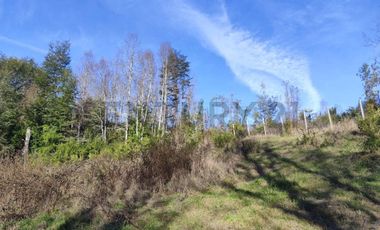PARCELA 10.589 M2 CON ORILLA DE ESTERO EN PARQUE ECOLOGICO CASAHUE, LONCOCHE