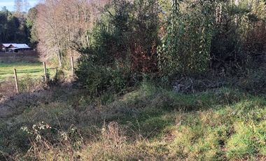 PARCELA 10.589 M2 CON ORILLA DE ESTERO EN PARQUE ECOLOGICO CASAHUE, LONCOCHE