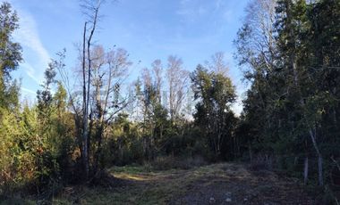 PARCELA 10.589 M2 CON ORILLA DE ESTERO EN PARQUE ECOLOGICO CASAHUE, LONCOCHE