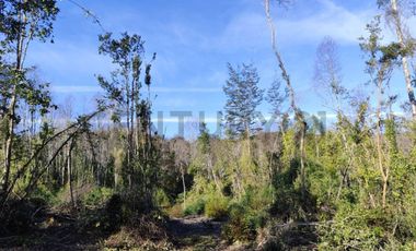 PARCELA 10.589 M2 CON ORILLA DE ESTERO EN PARQUE ECOLOGICO CASAHUE, LONCOCHE