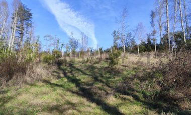 PARCELA 10.589 M2 CON ORILLA DE ESTERO EN PARQUE ECOLOGICO CASAHUE, LONCOCHE