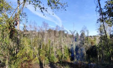 PARCELA 10.589 M2 CON ORILLA DE ESTERO EN PARQUE ECOLOGICO CASAHUE, LONCOCHE