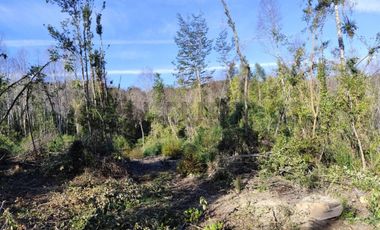 PARCELA 10.589 M2 CON ORILLA DE ESTERO EN PARQUE ECOLOGICO CASAHUE, LONCOCHE